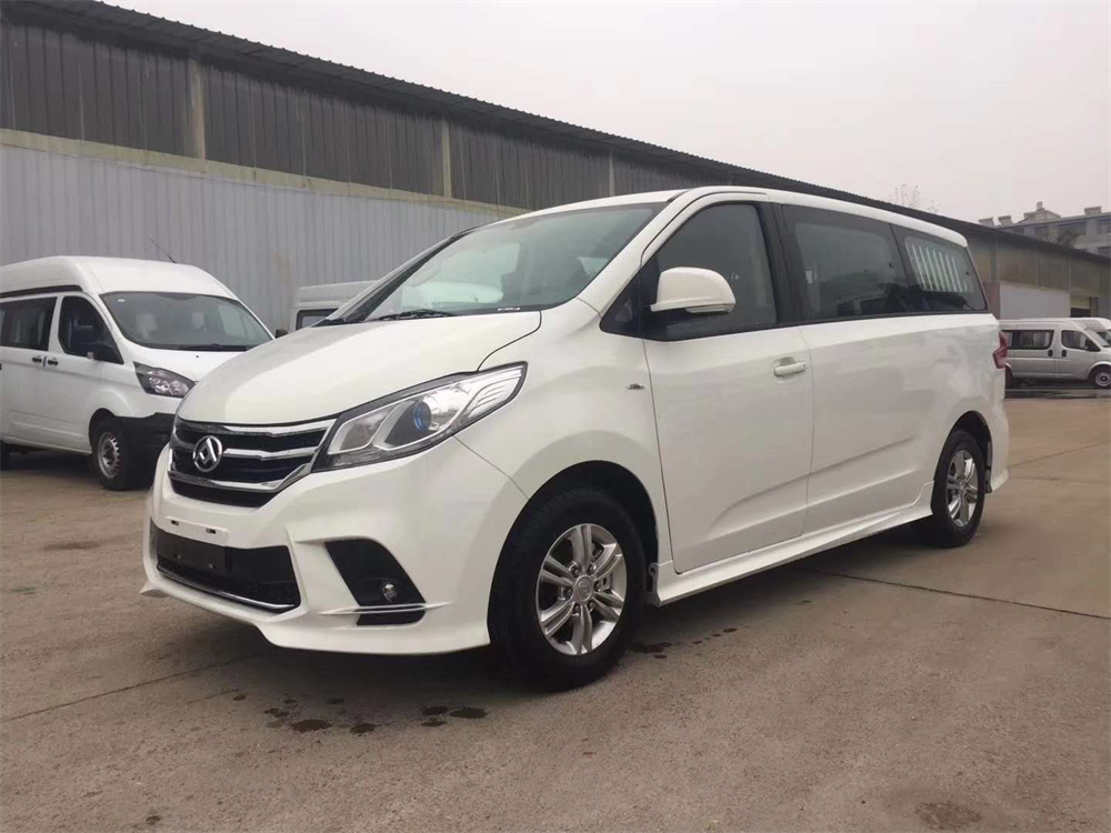 大通G10殯儀車